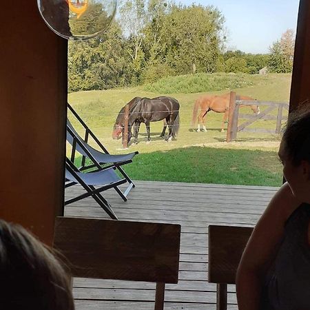 Le Relais D'Artagnan - Relais Equestre Mortier Exterior foto